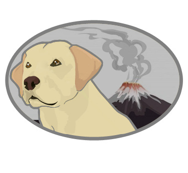 8138431426_e91eee1374